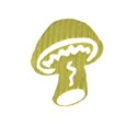 yellow mushroom