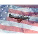 american fighter on flag background