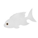 Fish a white