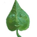 leaf face copy