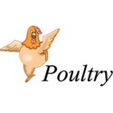 Poultry