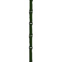 bamboo stick dark green