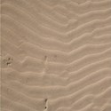 sand background