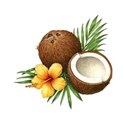 coconut