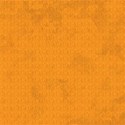 orange_turtledumplings_mikki