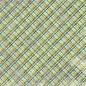 PLAID_be_mikkilivanos