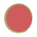 Circle Paint 03