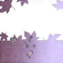 MLIVA_HEAL-QP3