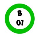 B1