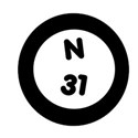 N31