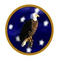 blue star and eagle button