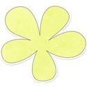 flower yellow