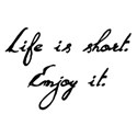 Lifeisshort