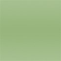 jade ppr