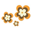 flowerclustersorange