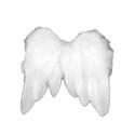angel wings copy