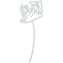 DD_MyWorld_flower09