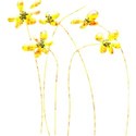 DD_MyWorld_flower08