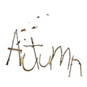 autumn 2
