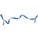 ribbon blue 2