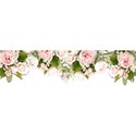 roses peach border copy 2