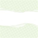 napkin page overlay ripped 03
