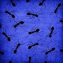 paper weave blue ants