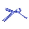 ribbon blue 01