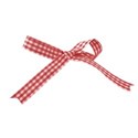 ribbon red 01