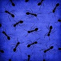 paper weave blue ants