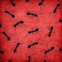 paper weave red ants