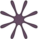 bos_tfs_jax03