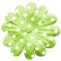dotted flower 5