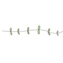 vine