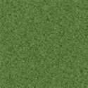 blurred grass