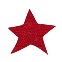 glitter red star copy