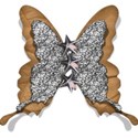mkoegelenberg-touchofmagic-butterfly001