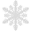 Flake2