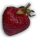 1lilstrawberryb