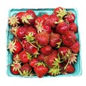 bucketstrawberries2