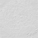 dandelion_silver