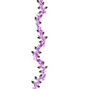 purple flower vine