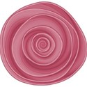 rosette_01