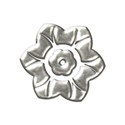 silverflower1