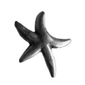 starfish