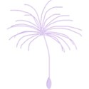 dandelion_seed_purple