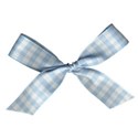 DZ_SBB_blue_bow