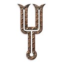 Y
