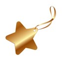 Star Gift Tag