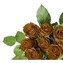 gold corner rose